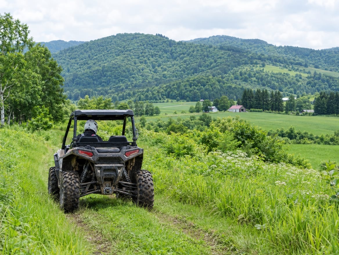 Summer buggy on a green trail